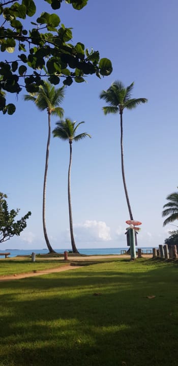 Gartenanlage Hotel Coyamar