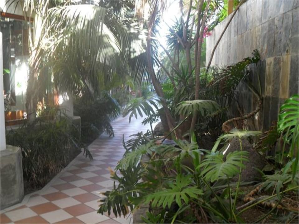 Vorm Eingang Corallium Beach by Lopesan Hotels - Adults only