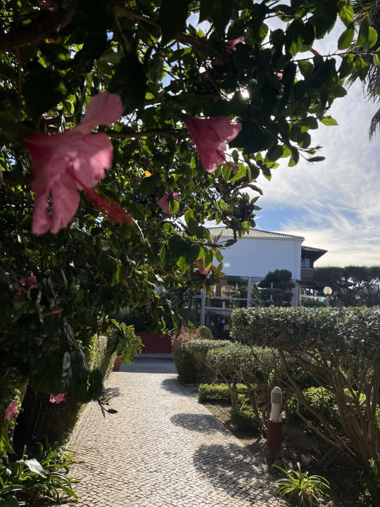 Gartenanlage Hotel Luzmar Villas