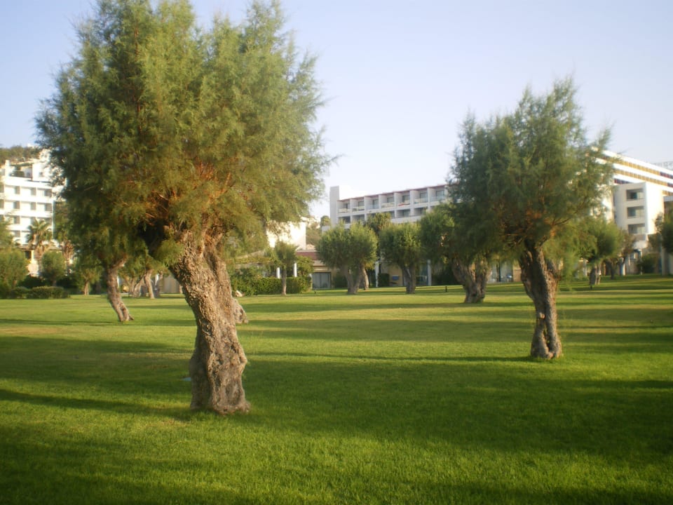 Blick von Strand zum Hotel Grecotel LUXME Dama Dama