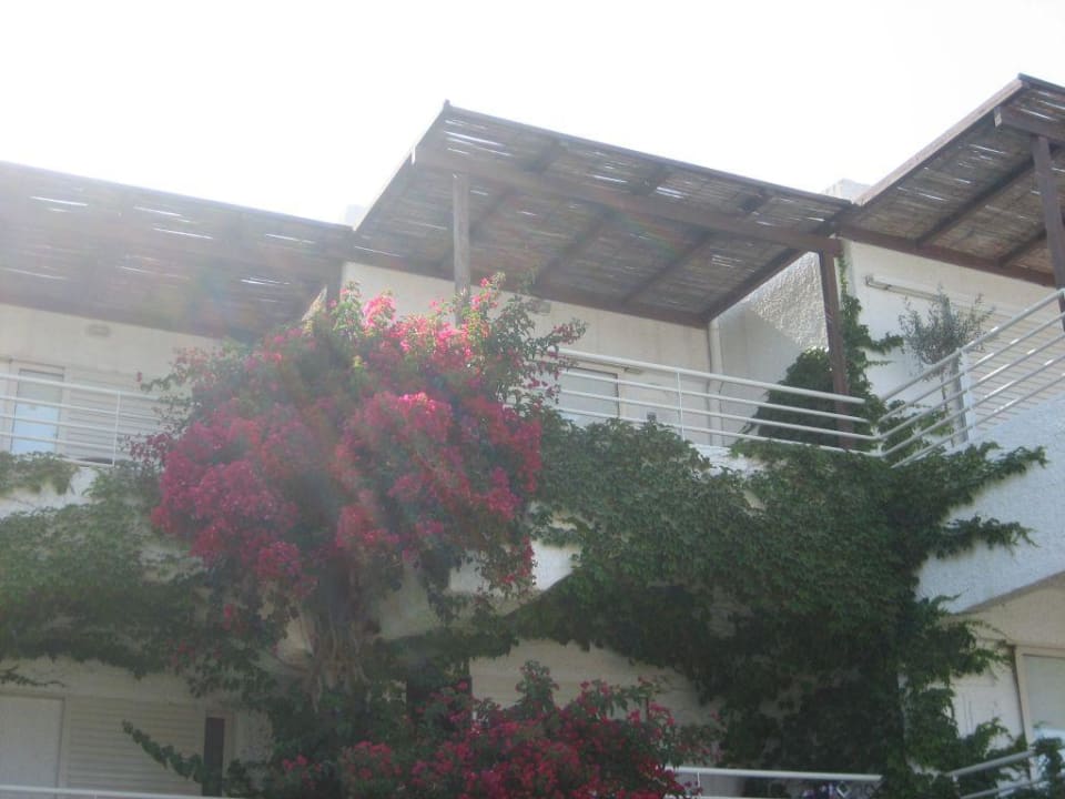 Blick auf unser Zimmer Apollonia Beach Resort & Spa