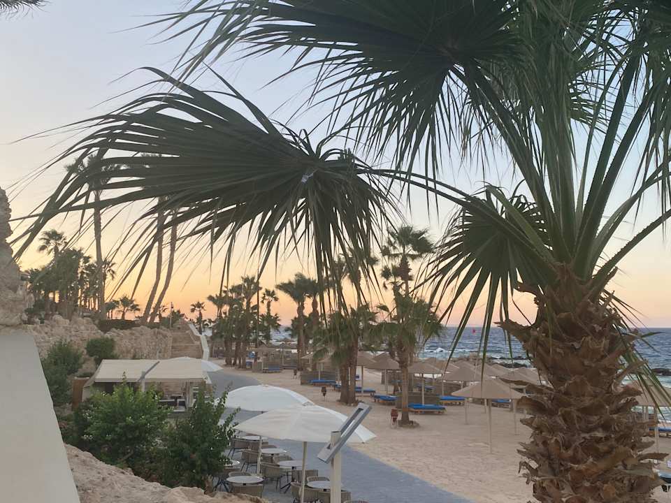 Außenansicht Pickalbatros Citadel Resort