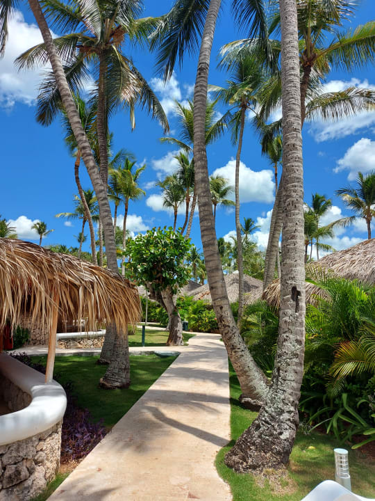 Gartenanlage Hotel Viva Dominicus Beach by Wyndham - All Inclusive Resort