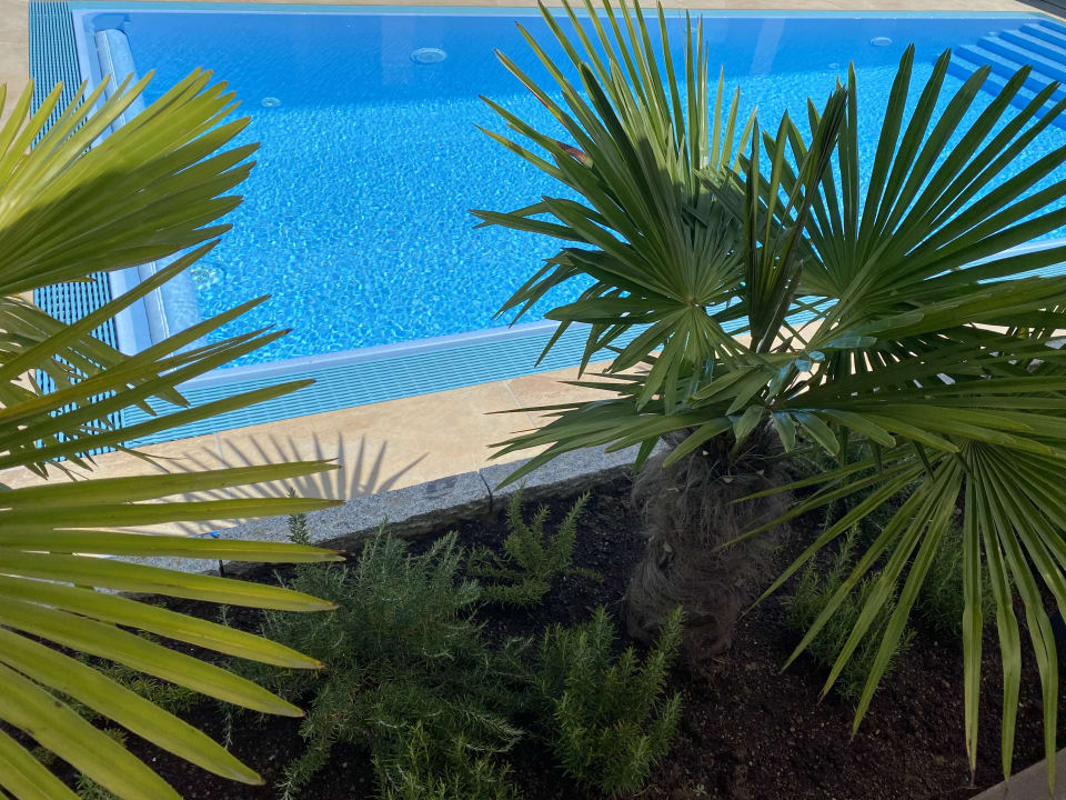 Pool AVALON ideal gelegen zwischen Europapark und Rulantica