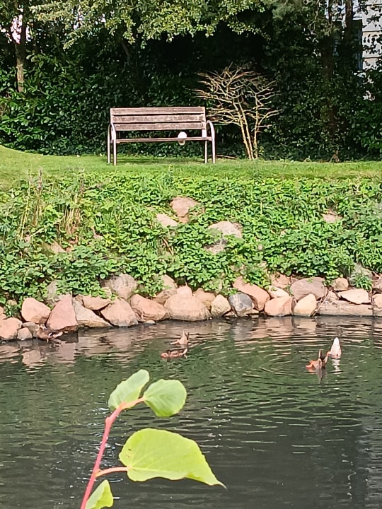 Gartenanlage Residenz Seestern