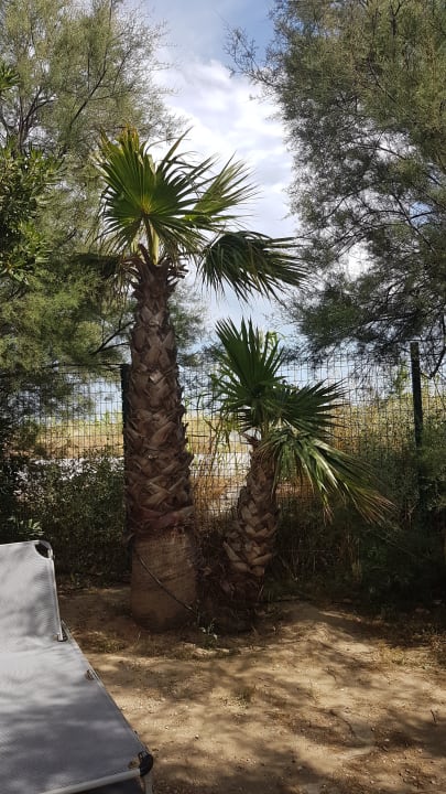 Gartenanlage Camping Village Le Floride & L'Embouchure