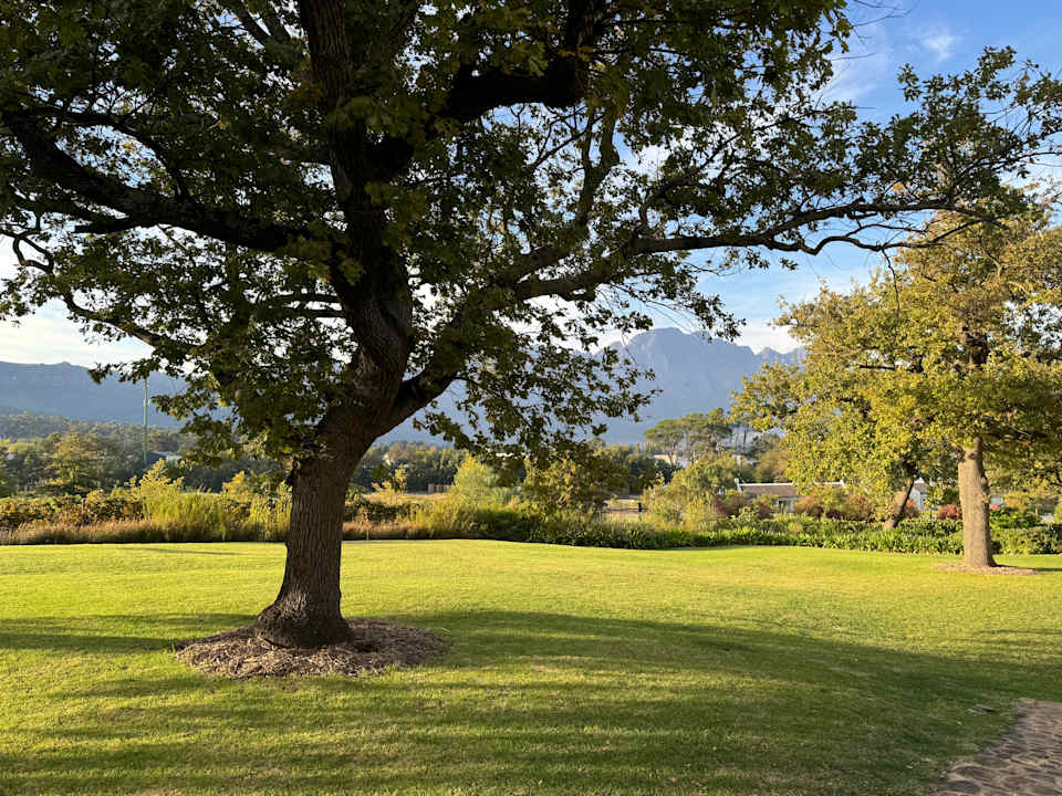 Ausblick La Cotte The Manor House
