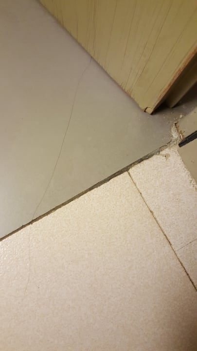 Zimmer blau punta reina