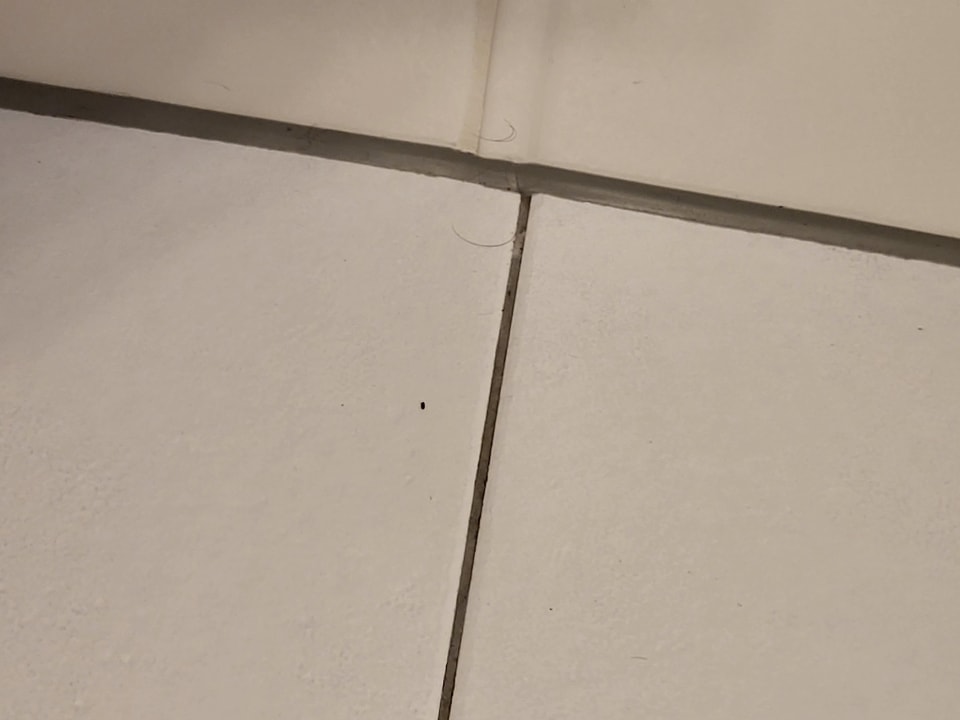 Zimmer Hotel Zum Stern