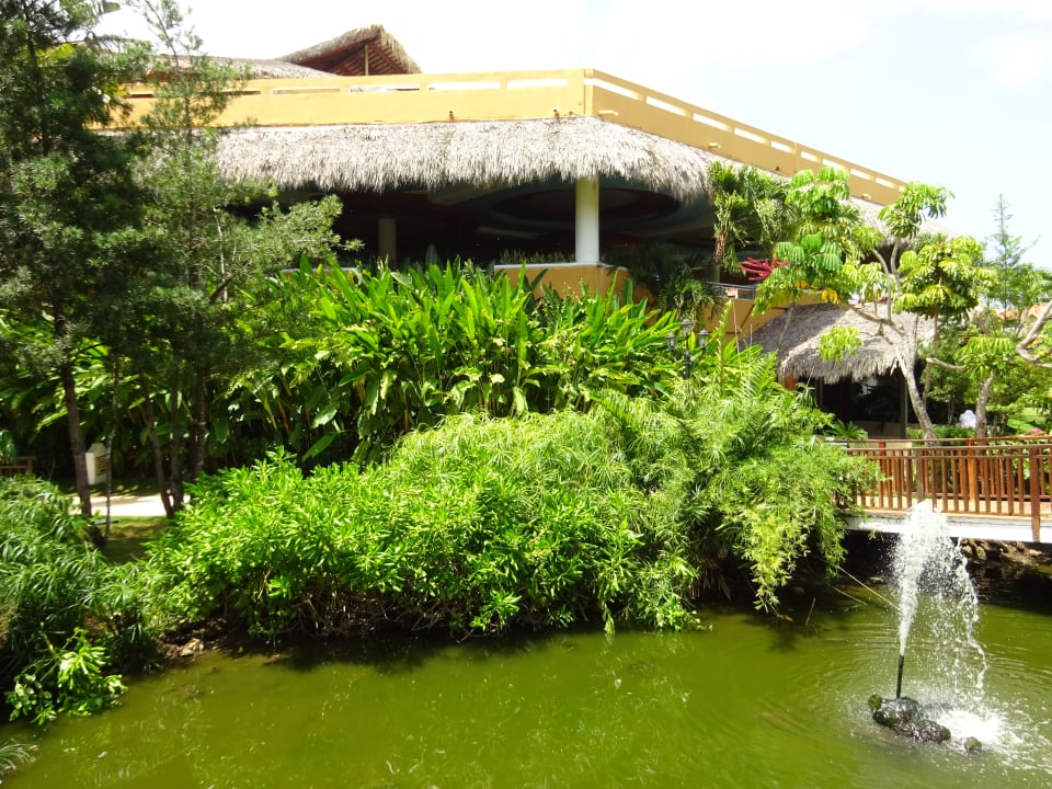 Gartenanlage Hotel Viva Dominicus Palace by Wyndham-All Inclusive Resort