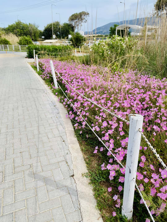 Gartenanlage Anemos Luxury Grand Resort