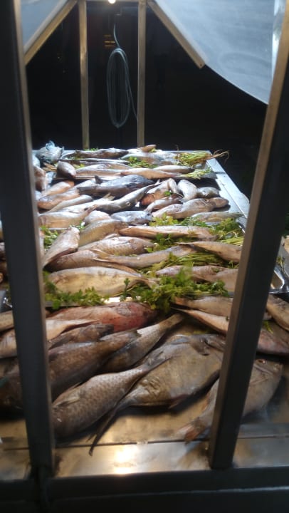 Gastro Pickalbatros Aqua Vista Resort - Hurghada