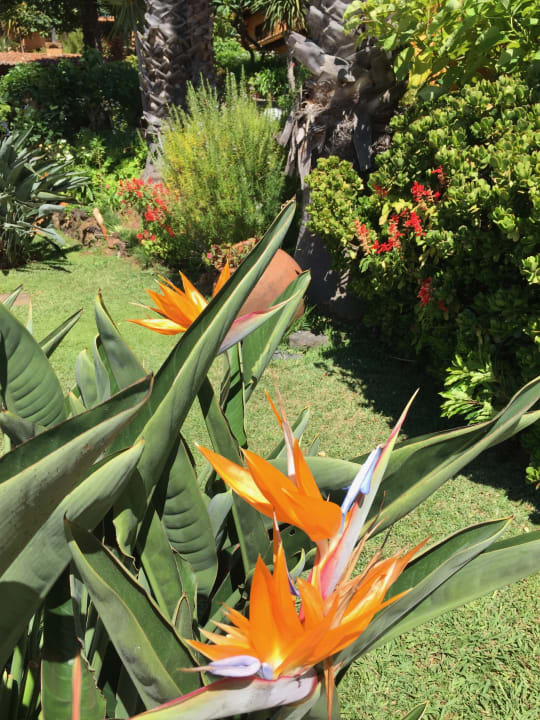 Gartenanlage Hotel Quinta Splendida Wellness & Botanical Garden