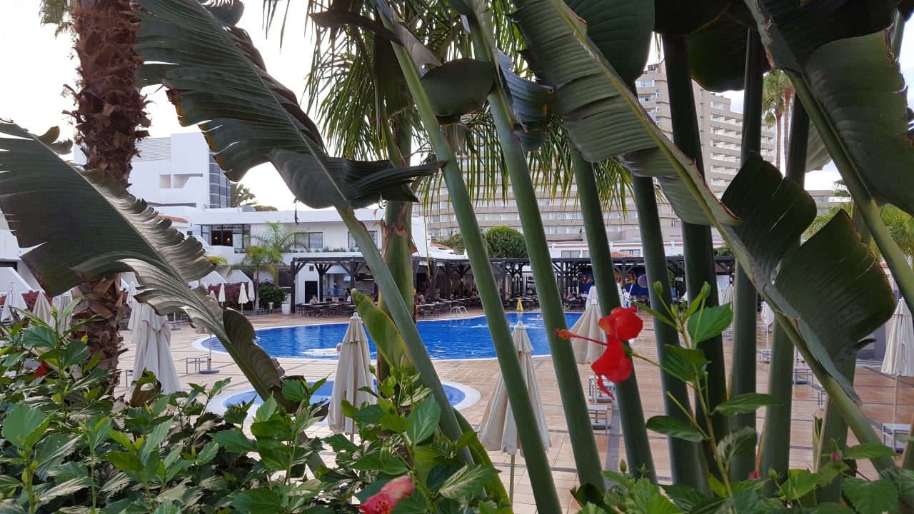 Pool allsun Hotel Los Hibiscos