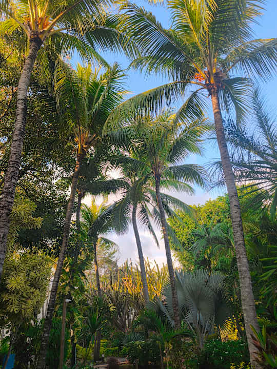 Außenansicht Lagoon Attitude - Adults only