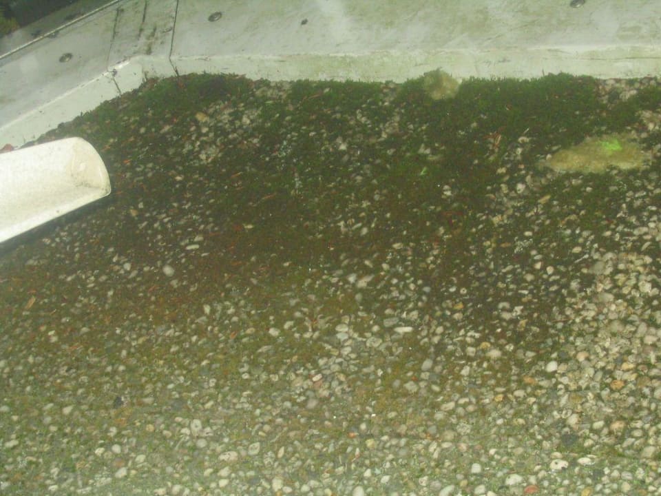 Bemooster Balkon Dorint Resort Winterberg