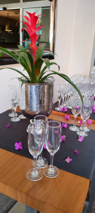 Gastro TUI BLUE Barut Andız - All Inclusive - Adults Only