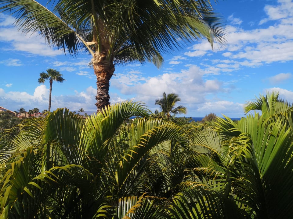 Ausblick Resort Maui Banyan Vacation Club