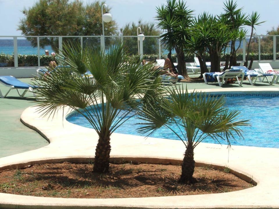 Pool Aparthotel Playa Dorada