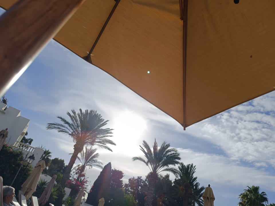 Pool Steigenberger Marhaba Thalasso Hammamet