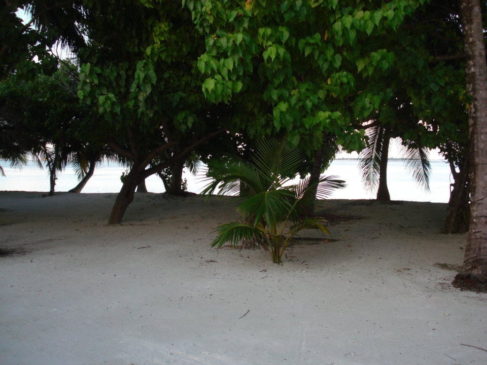 Aus dem Bungalow raus Adaaran Select Hudhuran Fushi - Premium All Inclusive