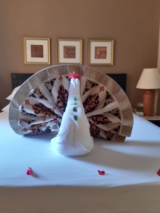 Zimmer Steigenberger Coraya Beach - Adults only