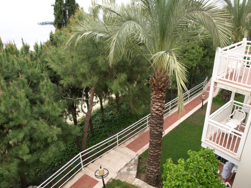 Bild vom Balkon PALOMA Perissia