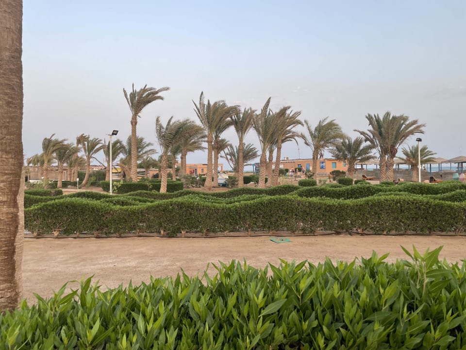 Gartenanlage Club Paradisio El Gouna, Red Sea
