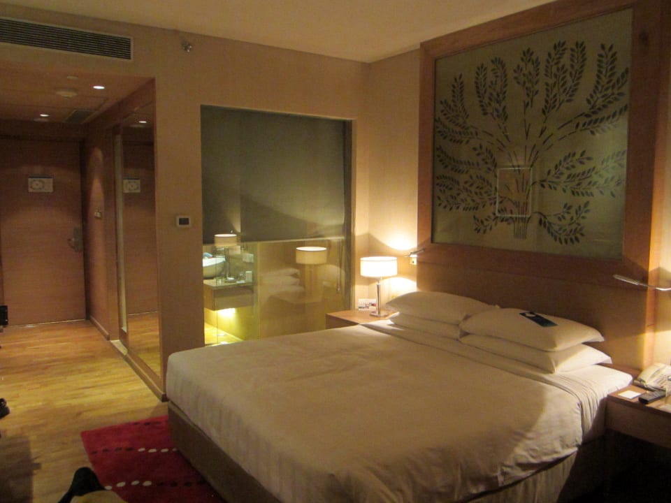 Tolles Zimmer Radisson Blu Hotel New Delhi Dwarka