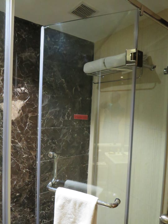 Zimmer Ramada Plaza Agra