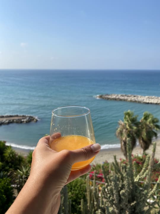 Ausblick Benalma Hotel Costa del Sol