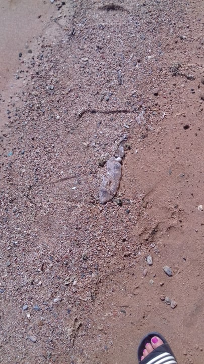 Strand Hotel Caves Beach Resort (Adults Only)