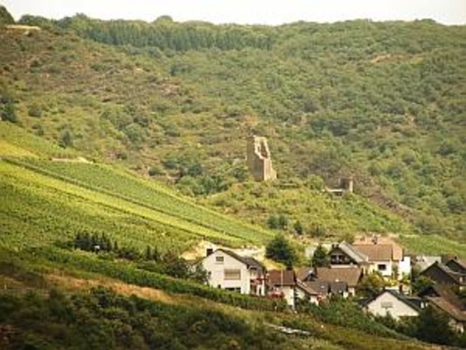Aussicht von Terrasse Hotel Kapellenhof