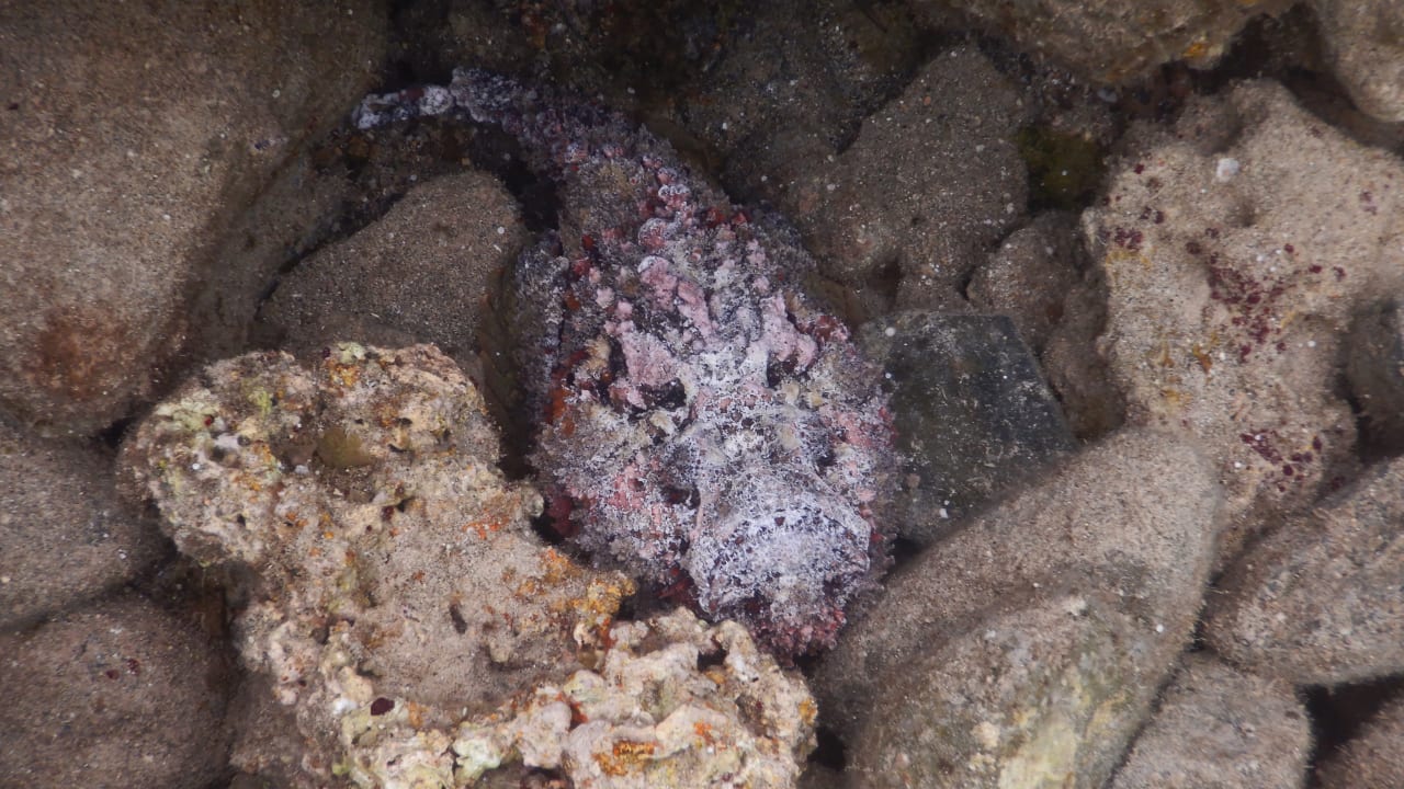 Sport & Freizeit Three Corners Equinox Beach Resort