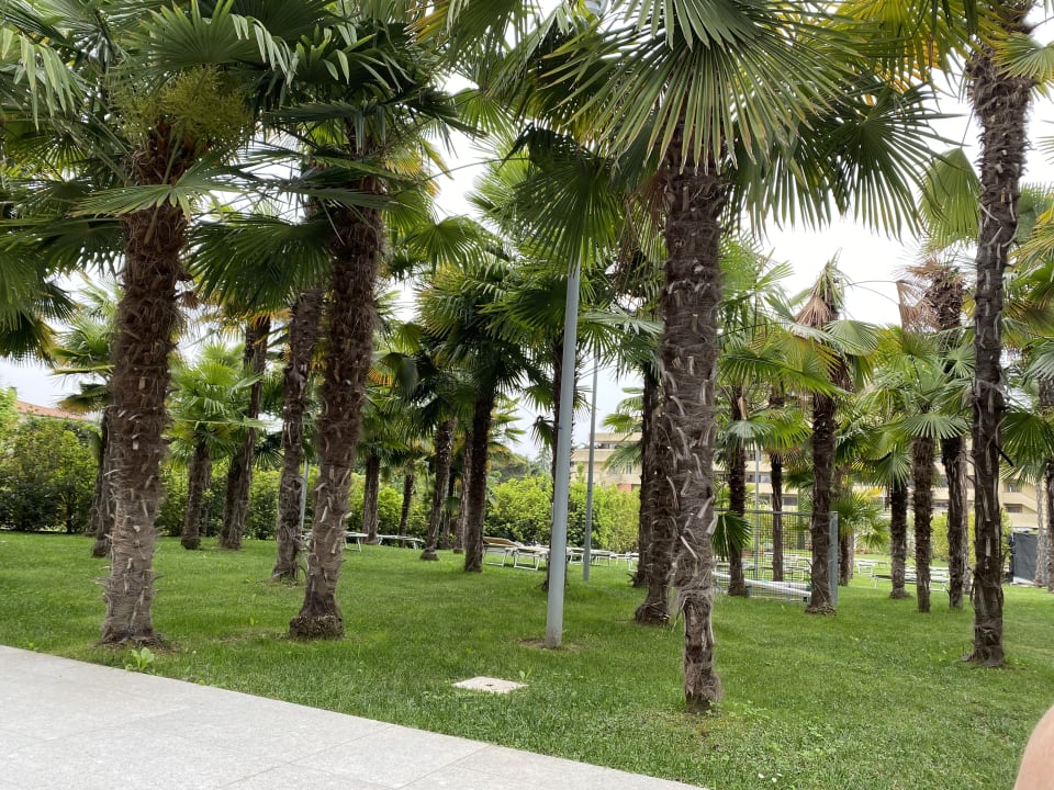 Gartenanlage Hotel Terme Venezia