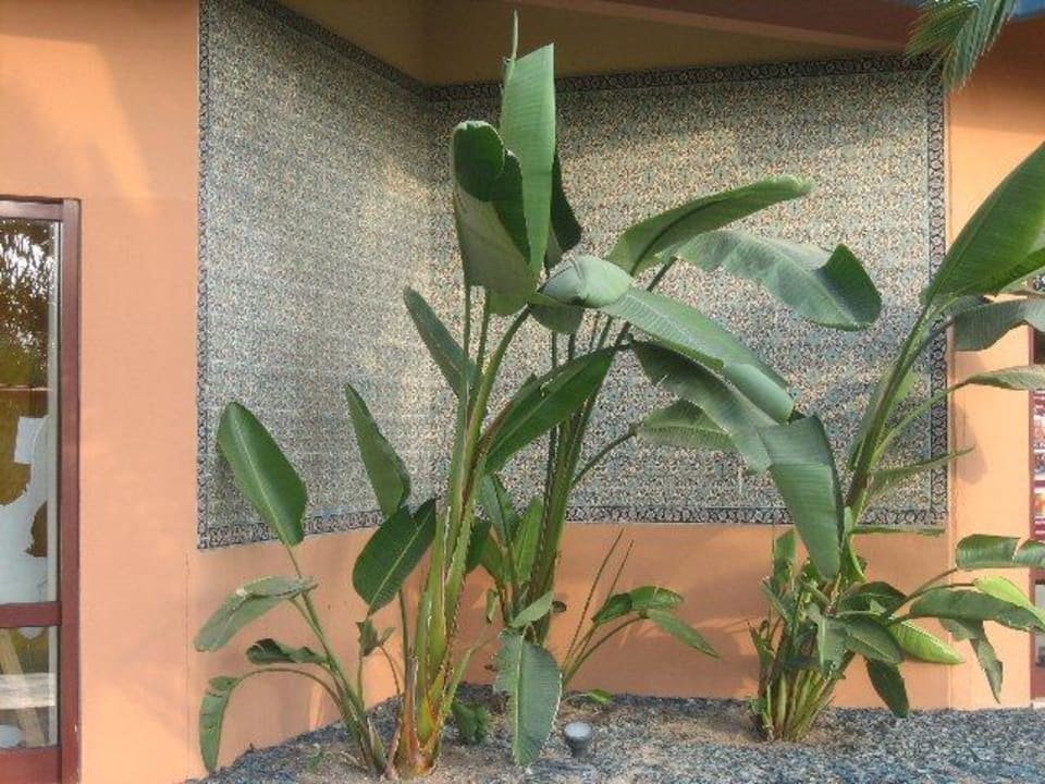 Wunderschönes Mosaik Hotel Grand Side