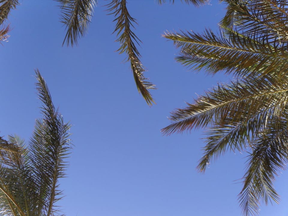 Чистое небо над головой Pickalbatros Alf Leila Wa Leila Resort - Neverland Hurghada