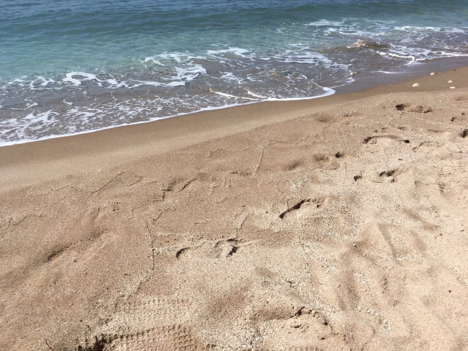 Strand TUI BLUE Oceanis Beach and Spa Resort