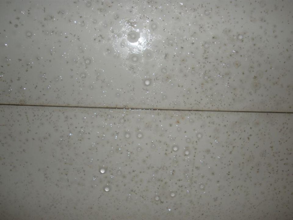 Tropfnasse Decke und Schimmel Muthu Playa Varadero