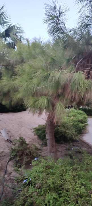 Außenansicht Makadi Spa - Adults only