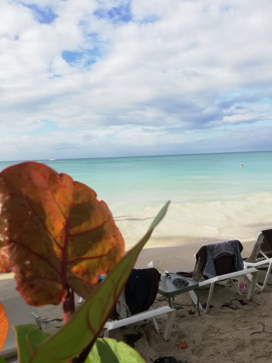 Strand Secrets La Romana Resort & Spa - Adult Only