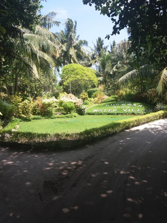 Gartenanlage Adaaran Select Meedhupparu Island Resort - Premium All Inclusive
