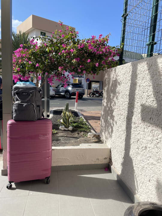 Sonstiges Servatur Alameda de Jandía