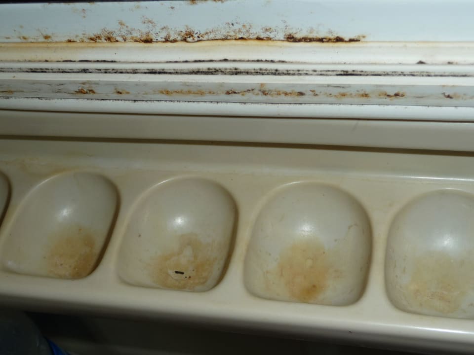 Kühlschrank Eierfach, dieser Kühlschrank steht nic Sunny Days Palma De Mirette Resort & Spa