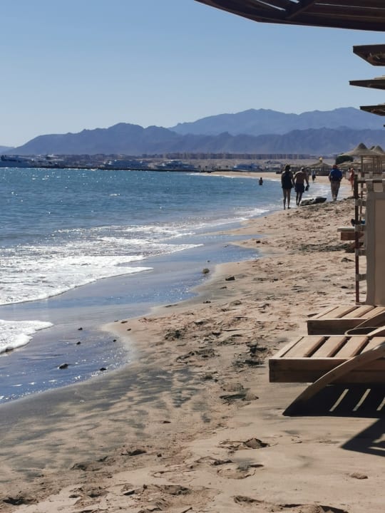 Strand Shams Prestige Abu Soma-Adults Only