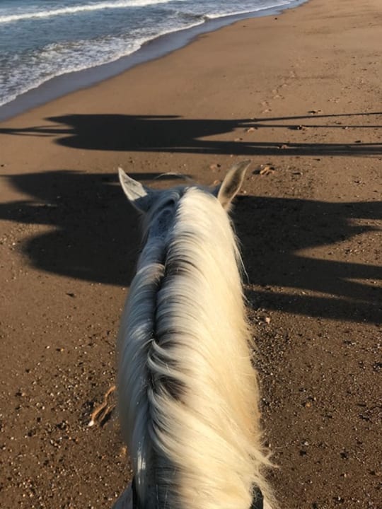 Strandritt am Morgen Aldiana Club Andalusien