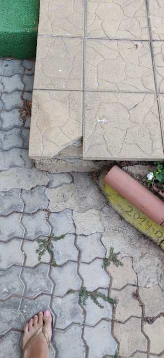 Gartenanlage Hotel Laguna Garden