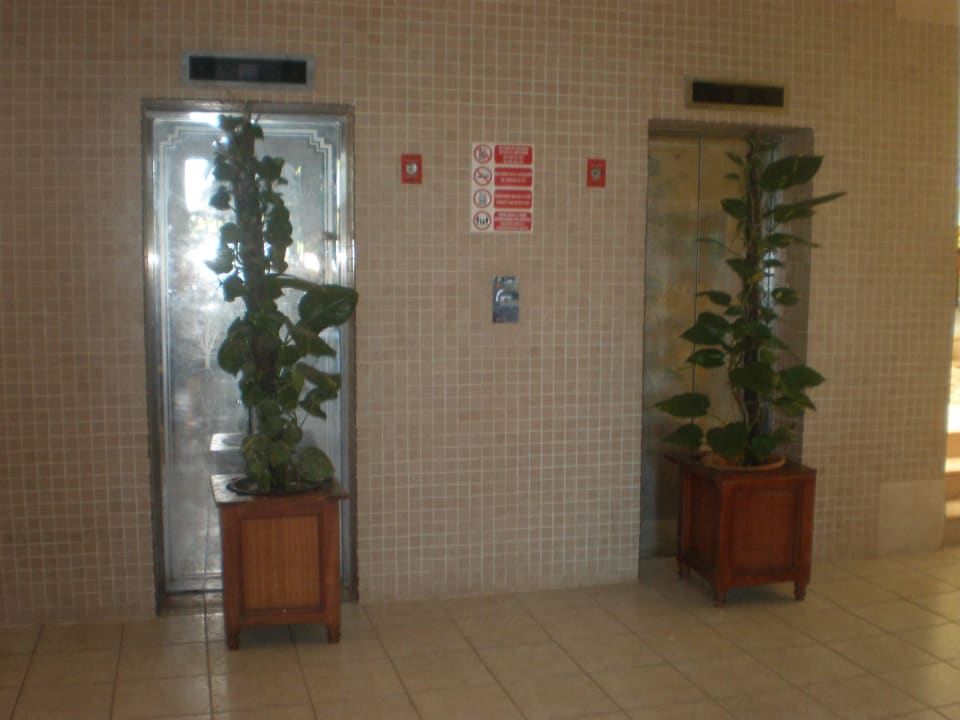 Defekte Aufzüge wurden gut getarnt Iberostar Origin Taínos