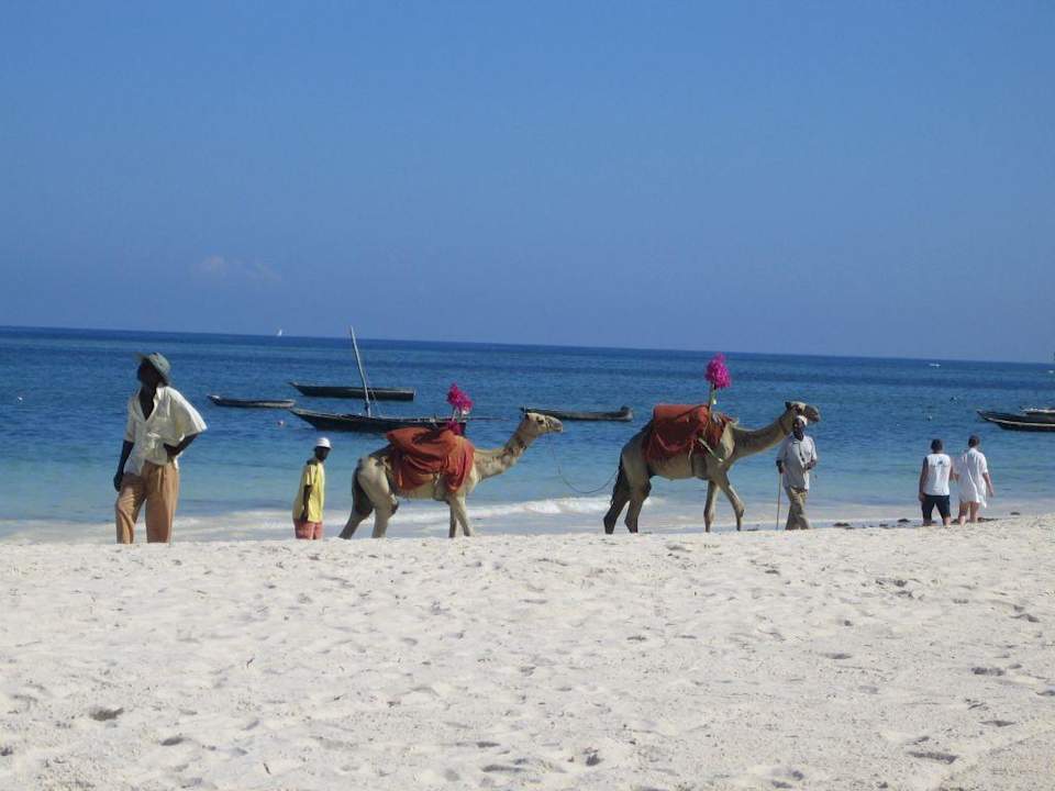 Am Strand Hotel Southern Palms Beach Resort