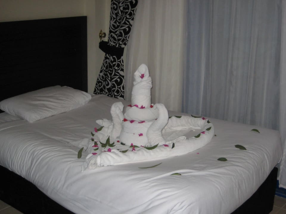 Verjaardan van mijn vrouw Panorama Bungalows Resort El Gouna